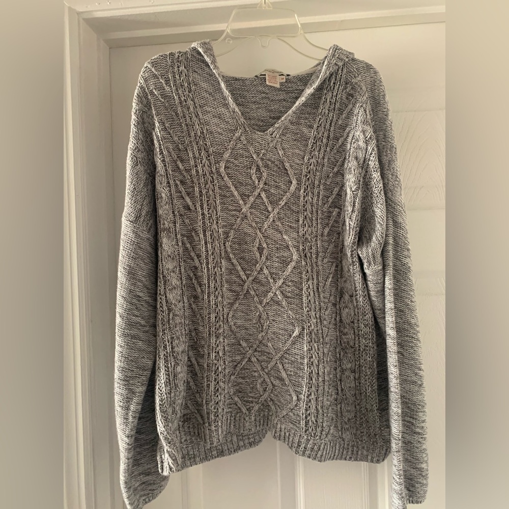 Carbon2Cobalt lakeside cable knit hooded sweater